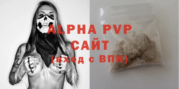 стафф Арсеньев