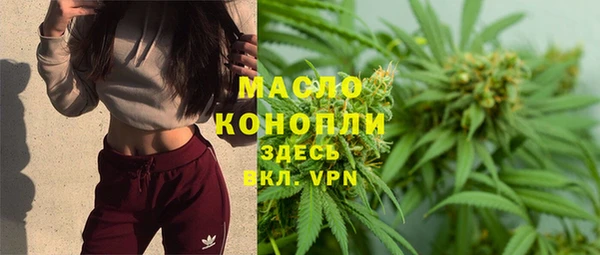 стафф Арсеньев