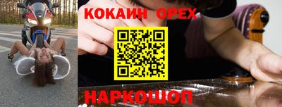 стаф Кингисепп