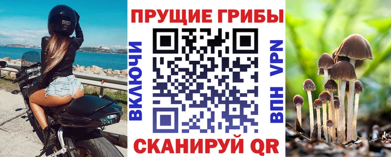 Галлюциногенные грибы Cubensis Минусинск
